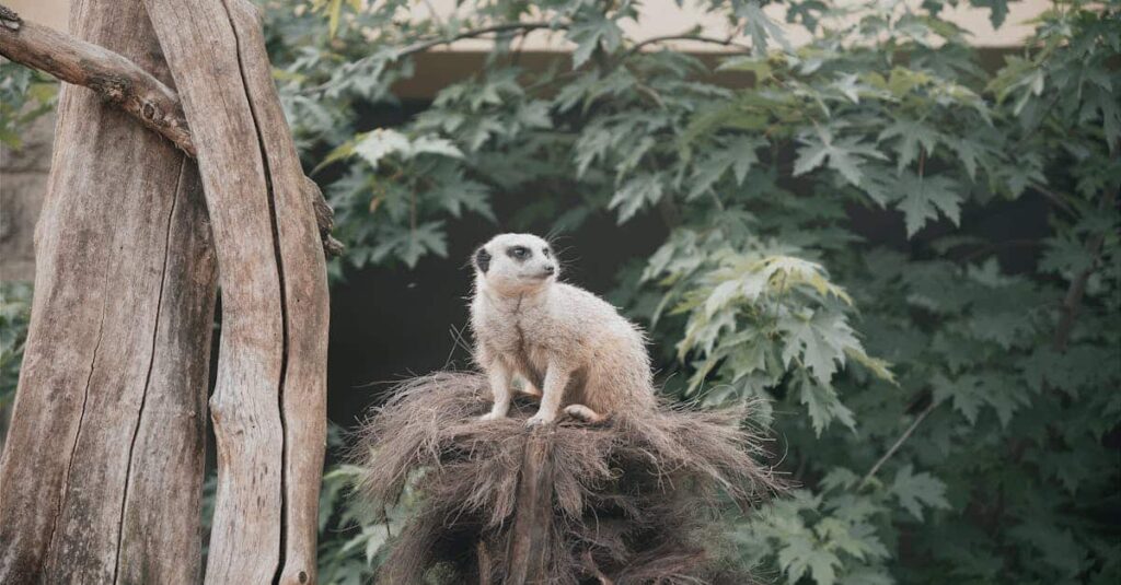 découvrez l'importance de la sensibilisation environnementale et comment elle peut influencer positivement nos actions quotidiennes pour préserver notre planète.