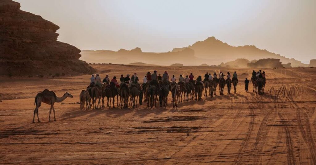 découvrez la dodge caravan